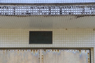 IMG_5667.jpg