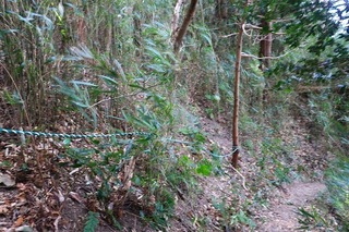 IMG_5677.jpg